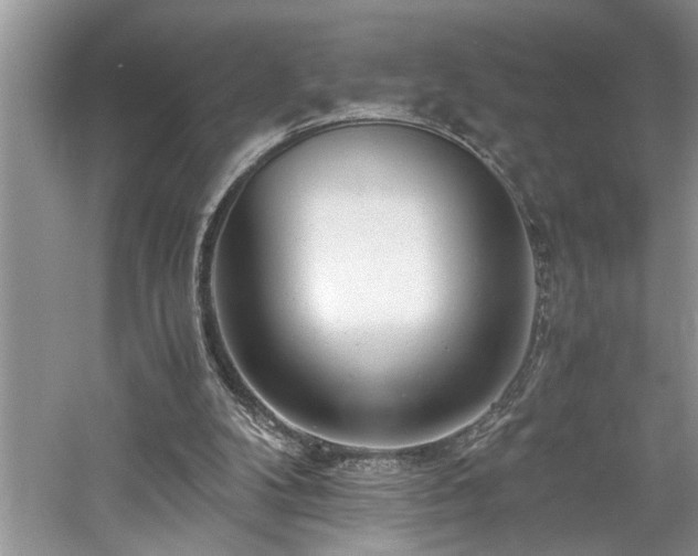 X0000061110104200511181140