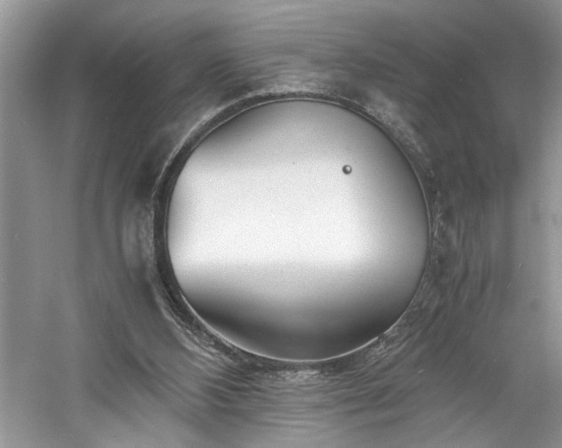 X0000061110108200511181140