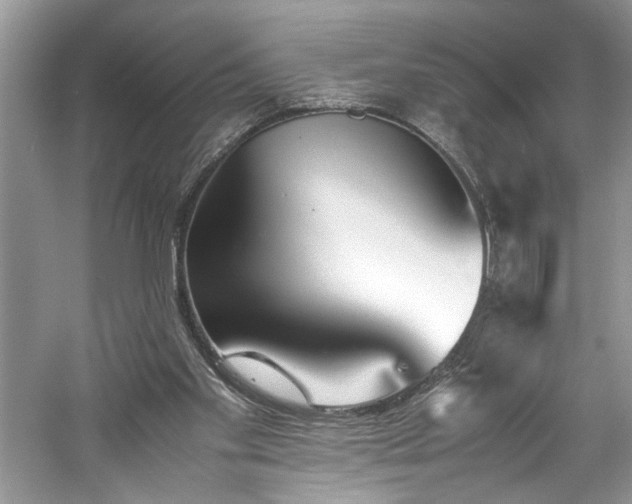 X0000061110109200511181140