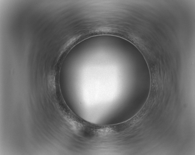 X0000061110112200511181140