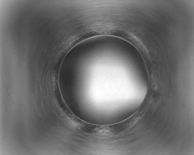 X0000061110113200511181140