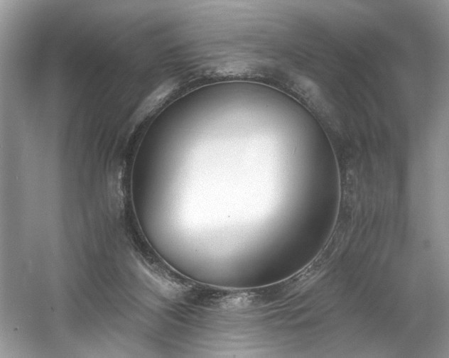 X0000061110116200511181140