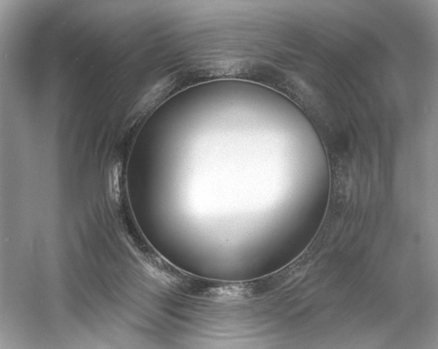 X0000061110118200511181140