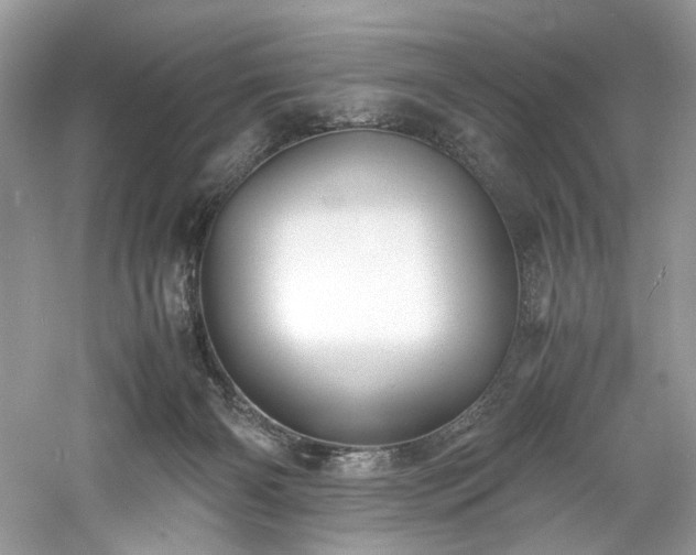 X0000061110126200511181139