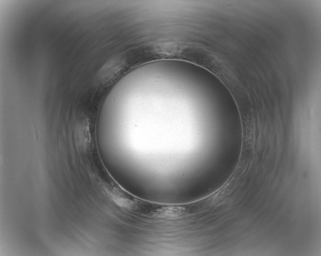 X0000061110128200511181139