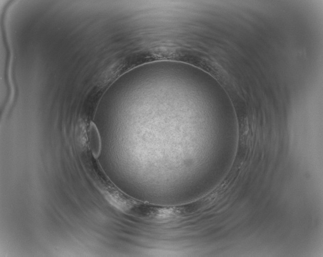 X0000061110130200511181139