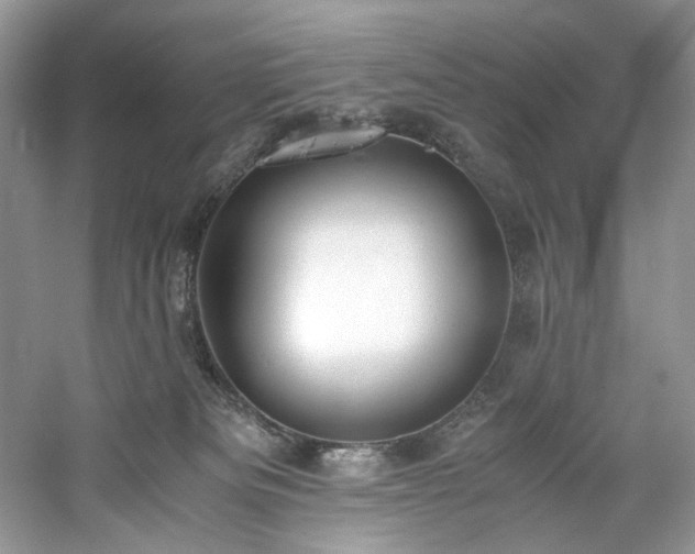 X0000061110133200511181139