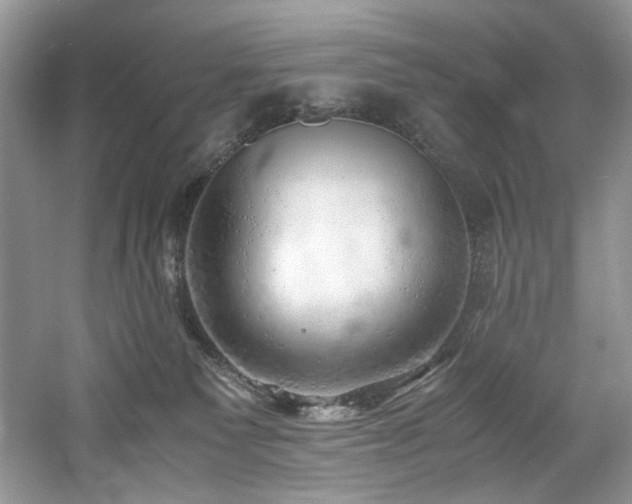 X0000061110135200511181139
