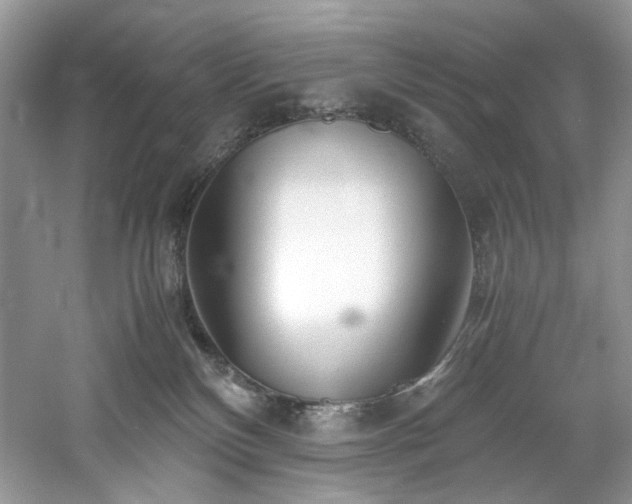 X0000061110136200511181139