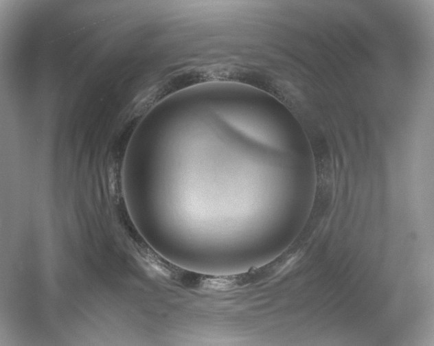 X0000061110139200511181139