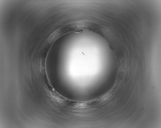 X0000061110140200511181139