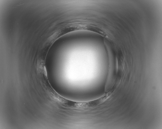 X0000061110141200511181139