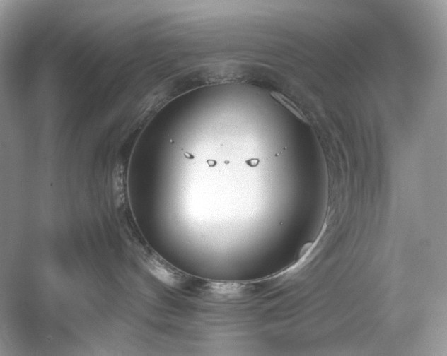 X0000061110144200511181139
