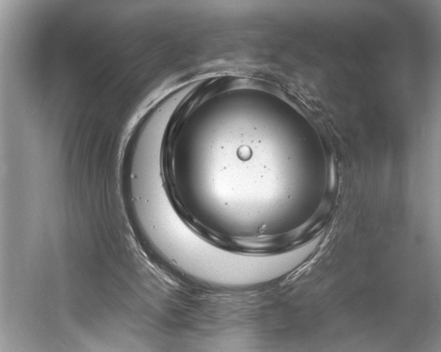 X0000061110150200511181138