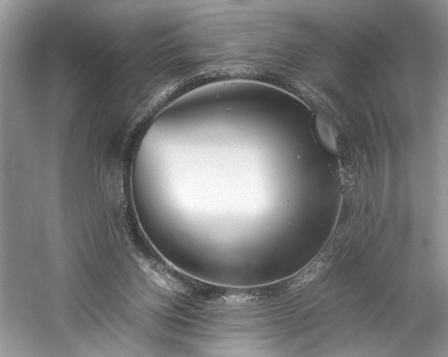X0000061110158200511181139