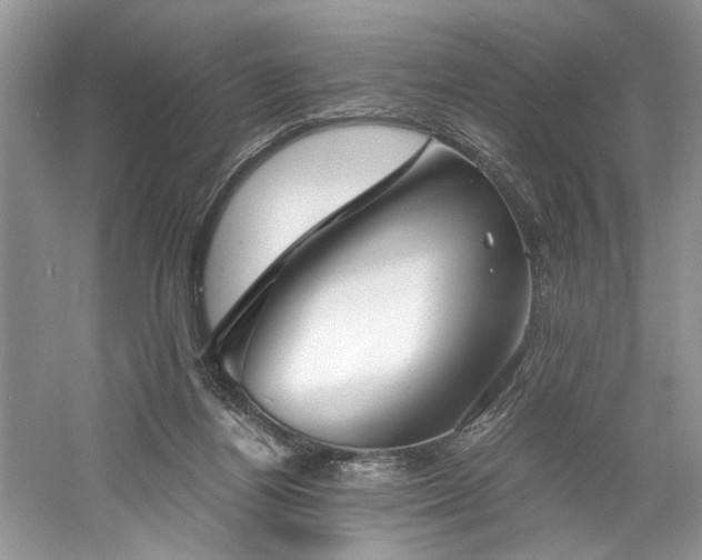 X0000061110164200511181139