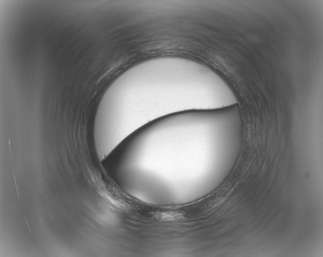X0000061110165200511181139