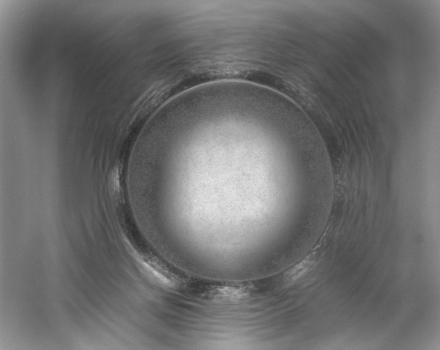 X0000061110166200511181139