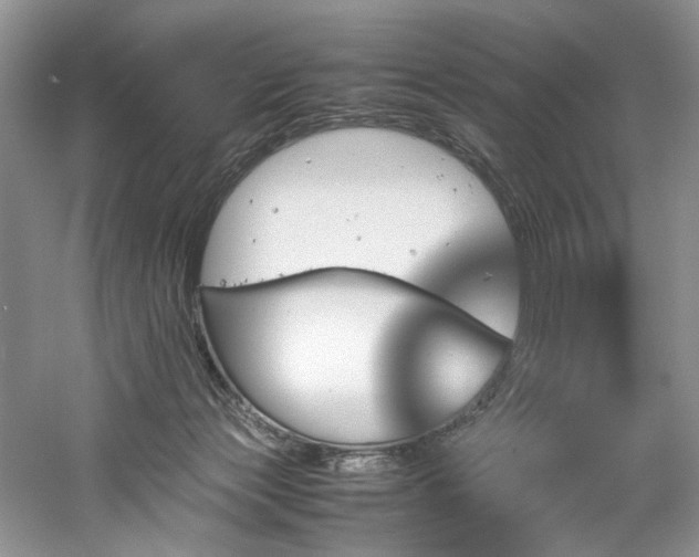 X0000061110173200511181139