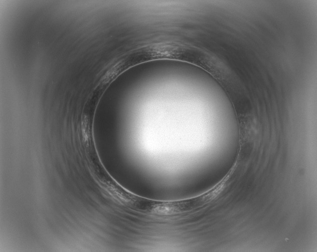 X0000061110174200511181139