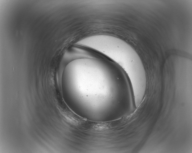 X0000061110175200511181139