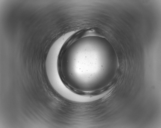X0000061110180200511181139