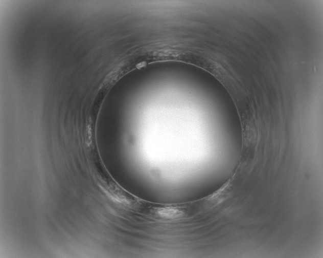 X0000061110183200511181139