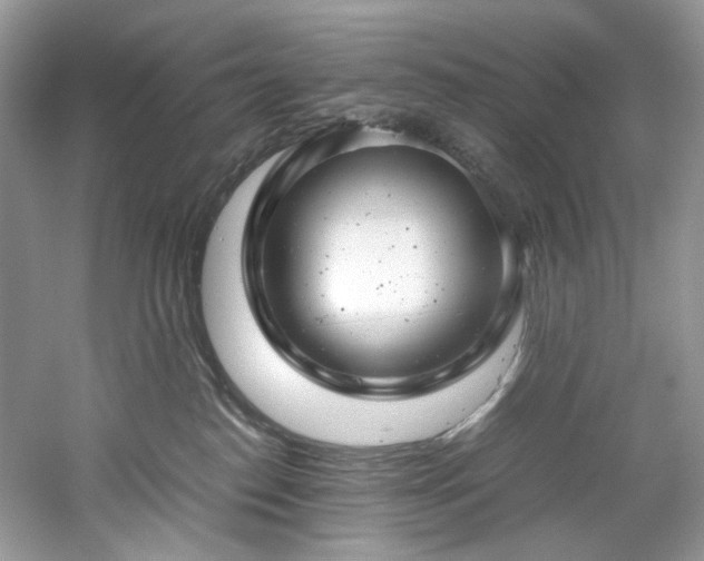 X0000061110186200511181139