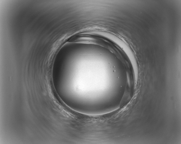 X0000061110193200511181138