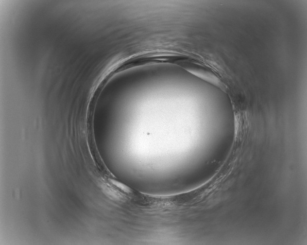 X0000061110195200511181138