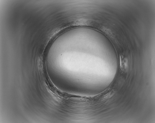 X0000061110204200511181138