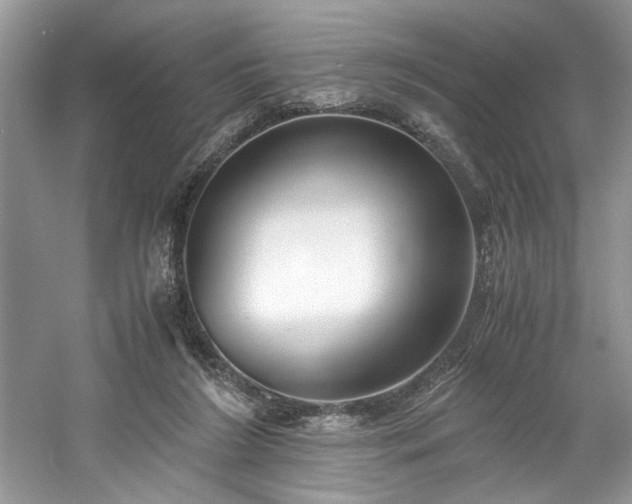 X0000061110212200511181138