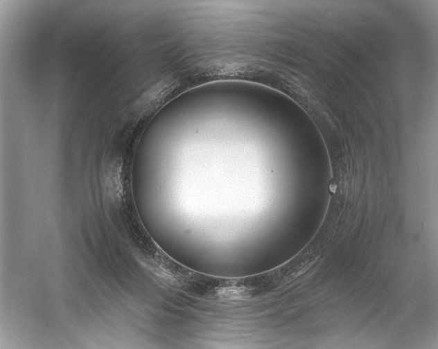 X0000061110216200511181138