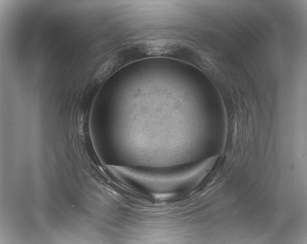 X0000061110219200511181138
