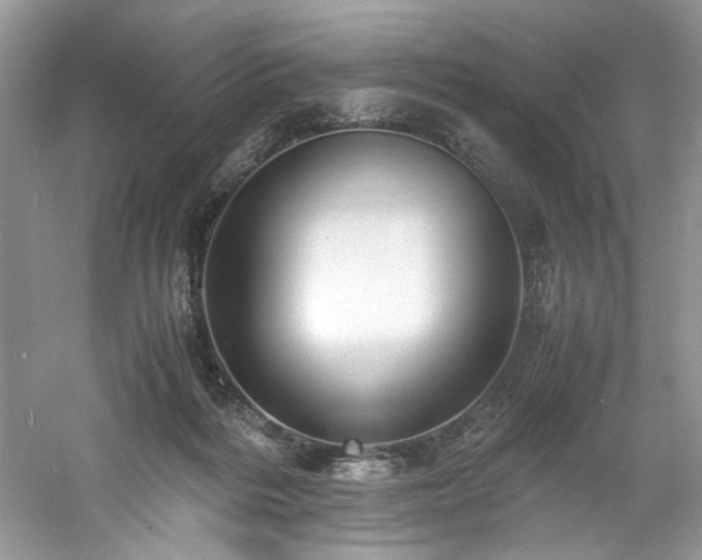 X0000061110220200511181138