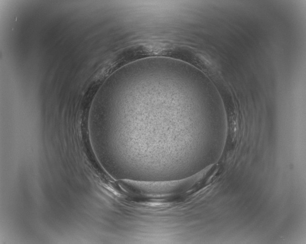 X0000061110221200511181138