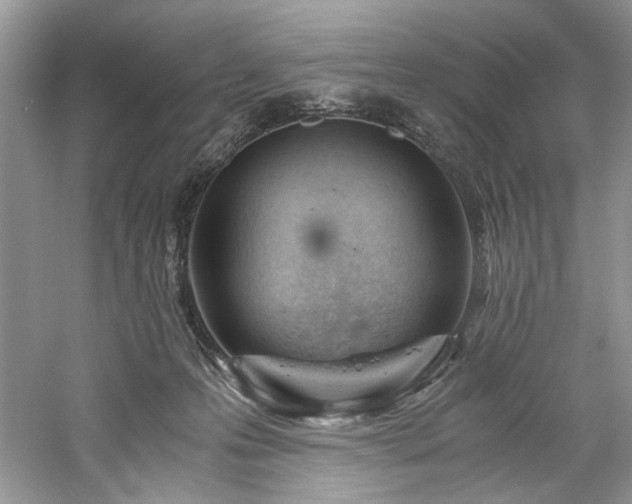 X0000061110223200511181138