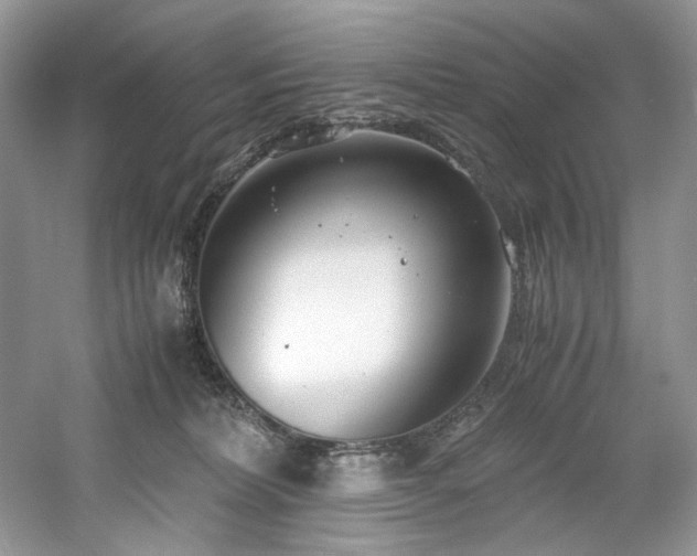 X0000061110228200511181138