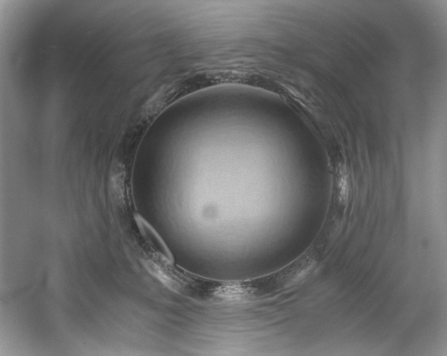 X0000061110231200511181138