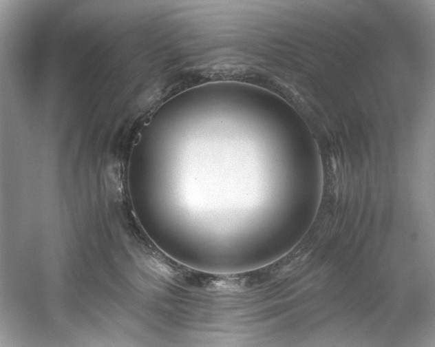 X0000061110232200511181138