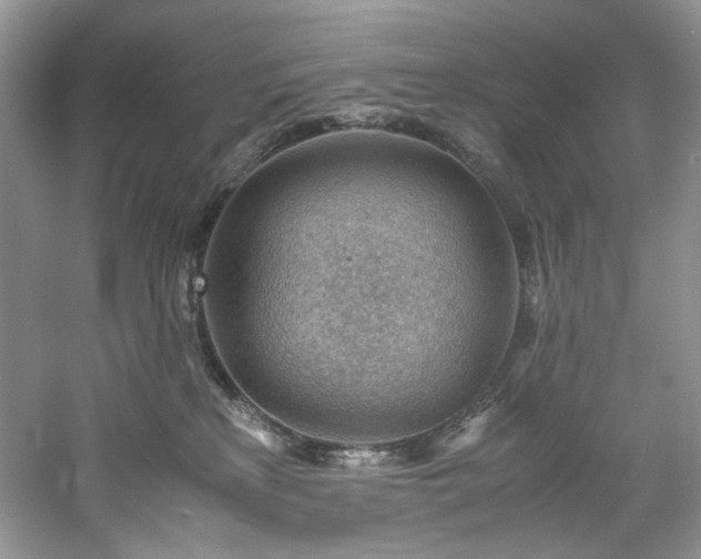 X0000061110233200511181138