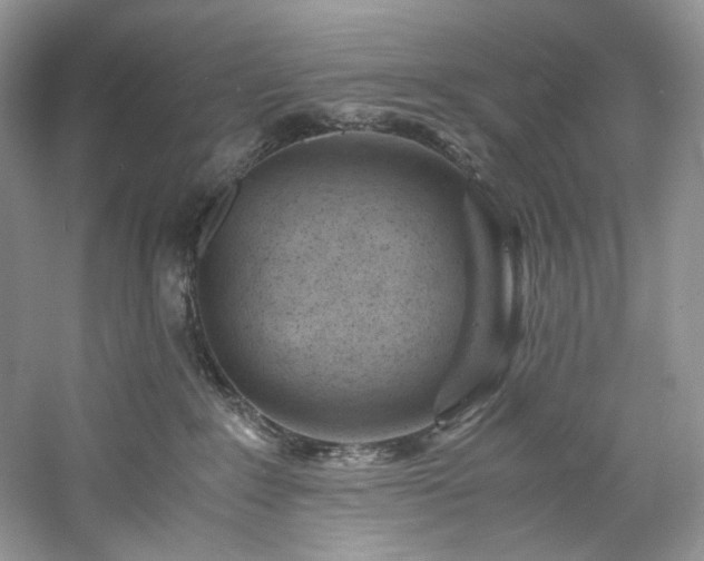 X0000061110235200511181138
