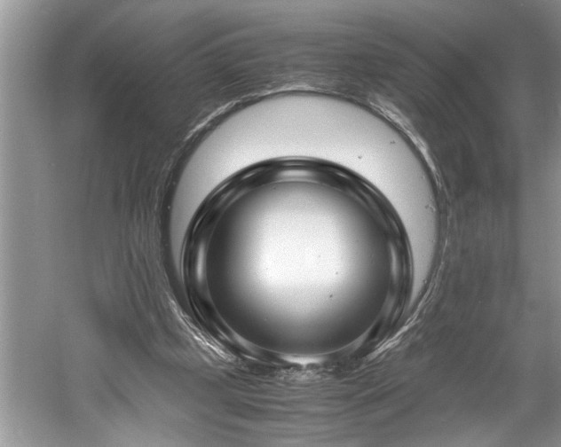 X0000061110249200511181137