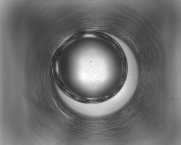 X0000061110251200511181137
