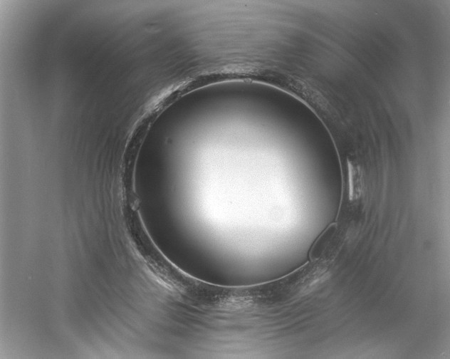 X0000061110252200511181137