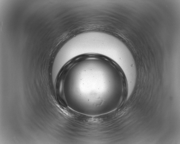 X0000061110261200511181137