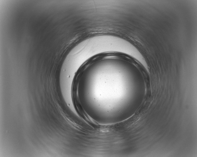 X0000061110264200511181137