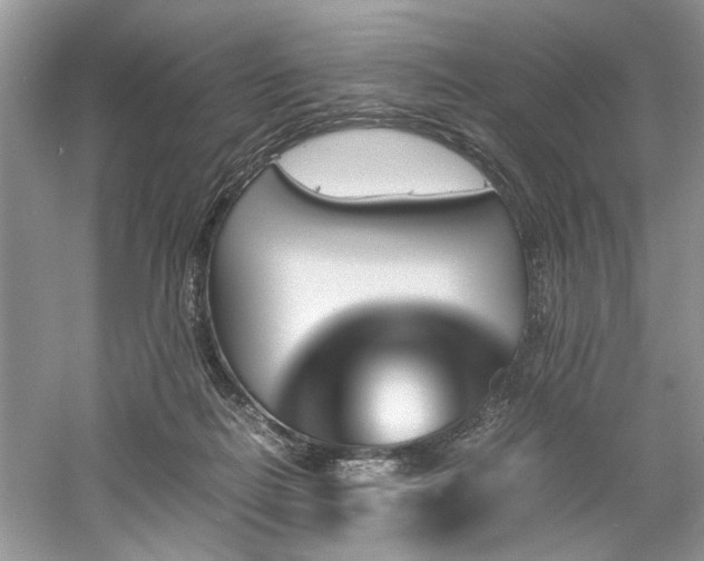 X0000061110266200511181137