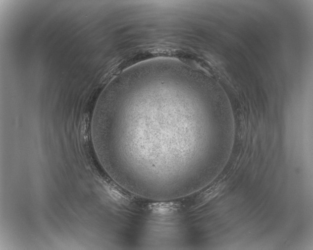 X0000061110273200511181137