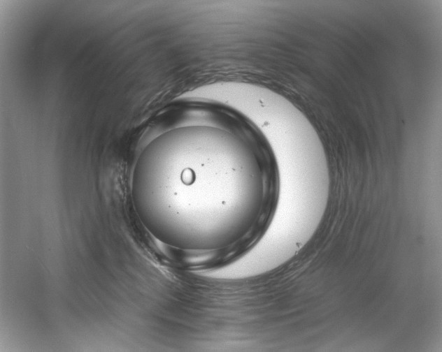X0000061110280200511181137